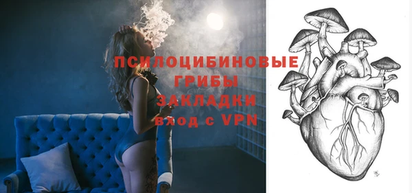круглые Белокуриха