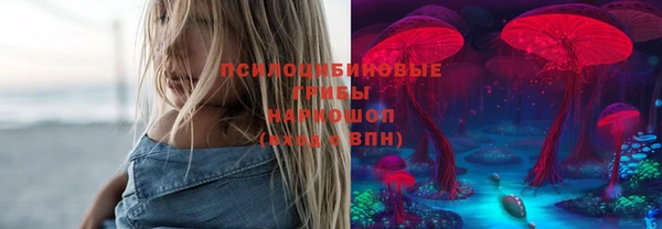 круглые Белокуриха