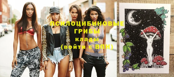 стаф Белоозёрский