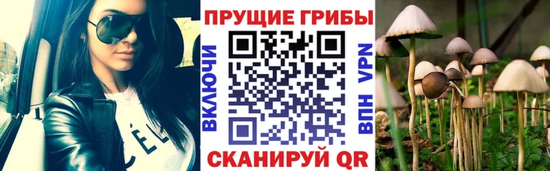 Галлюциногенные грибы мицелий  Бутурлиновка 